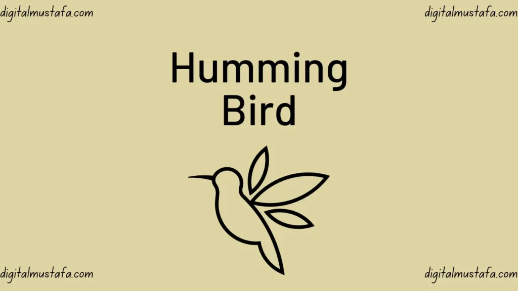 hummingbird google algorithm